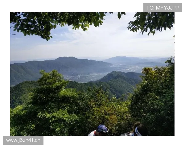 刷到邢傲伟家短视频，客厅那排鞋柜比我两年薪水还贵，瞬间怀疑人生